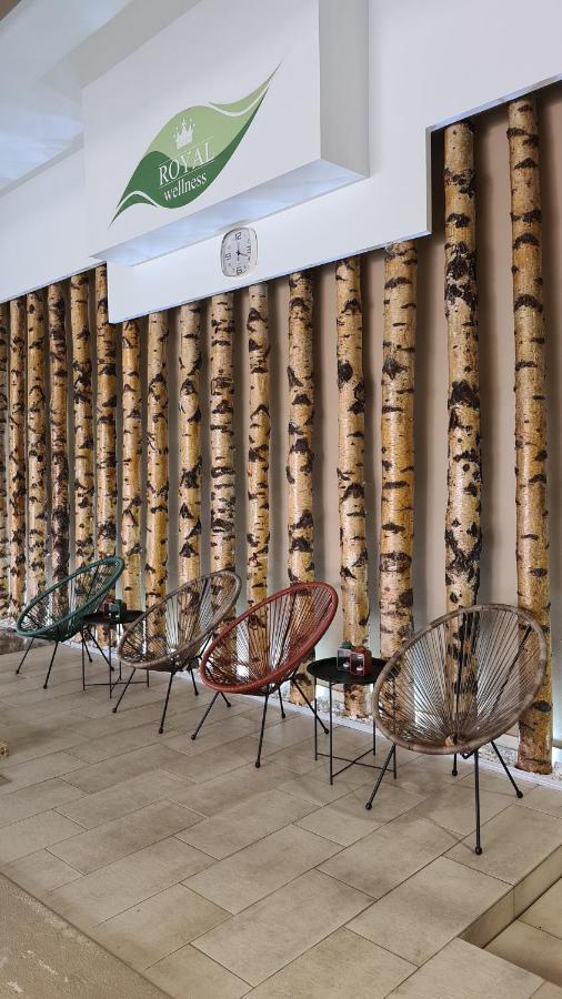 Hotel Royal Spa Banja Koviljača Kültér fotó