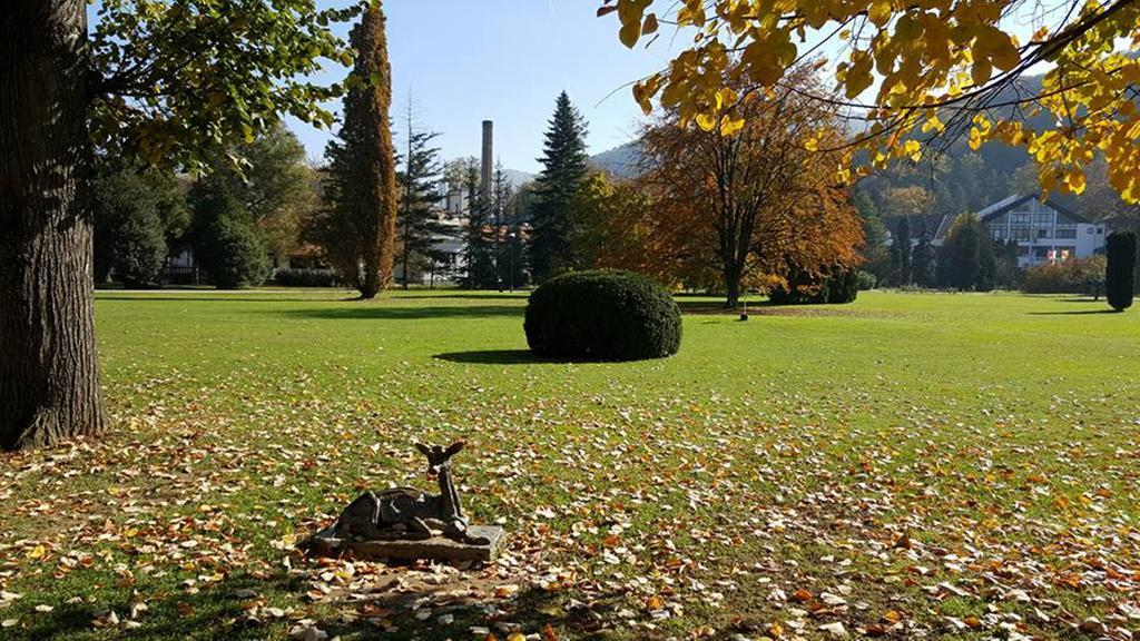 Hotel Royal Spa Banja Koviljača Kültér fotó