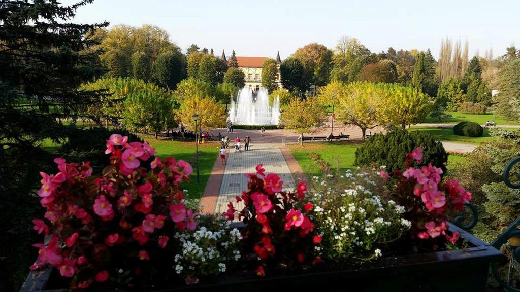Hotel Royal Spa Banja Koviljača Kültér fotó
