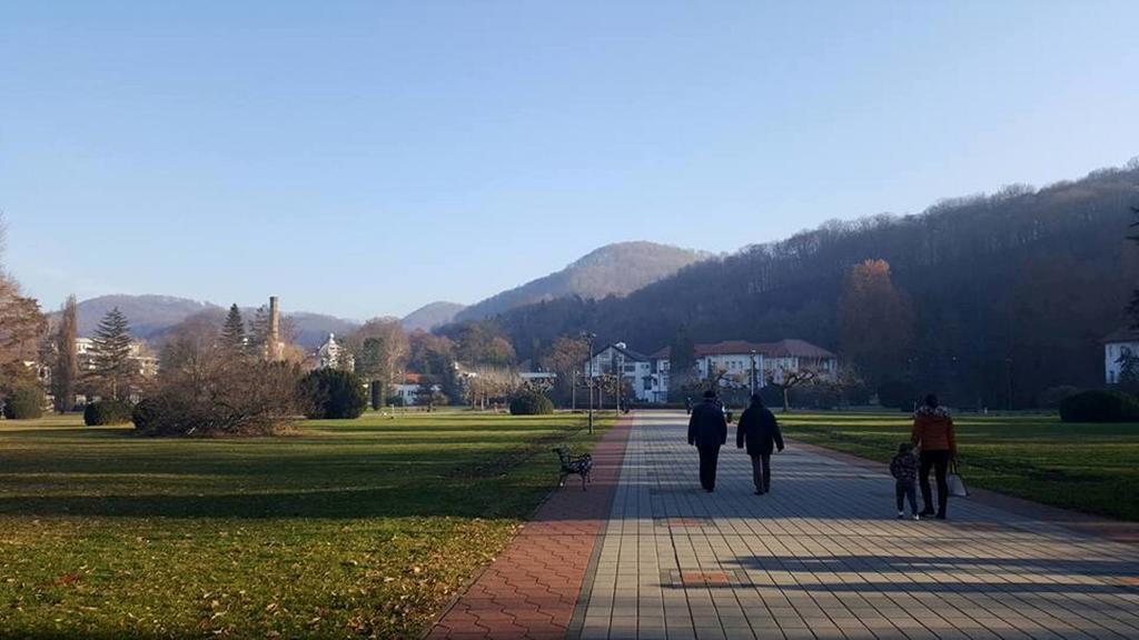 Hotel Royal Spa Banja Koviljača Kültér fotó